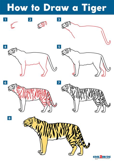 how to draw a tiger step by step|How to Draw a Tiger – Step by Step Drawing Tutorial.